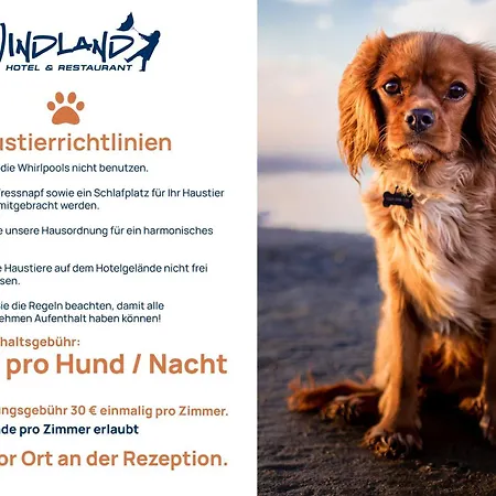 Hotel Und Restaurant Windland 3*